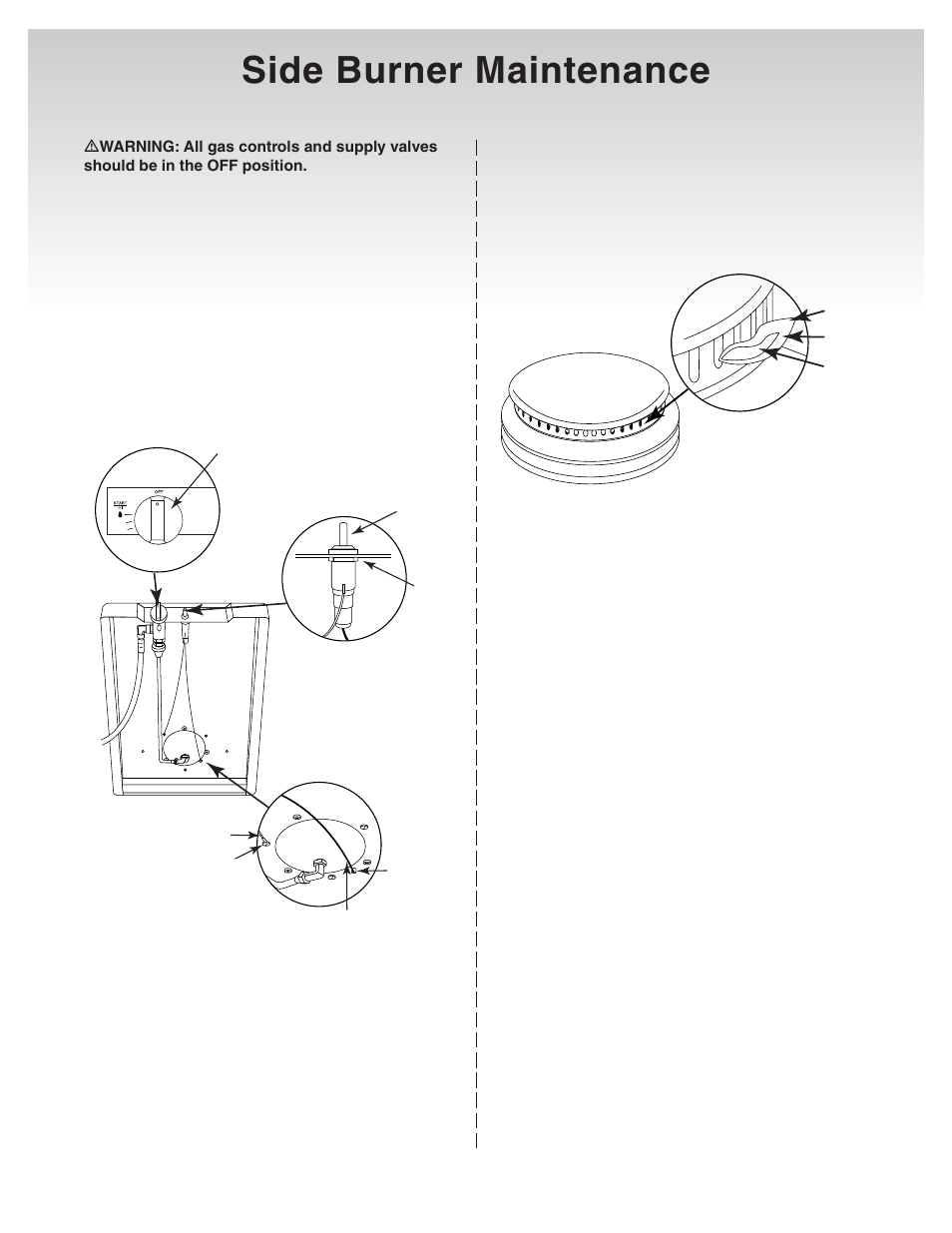 Side burner maintenance | weber Genesis Platinum C User Manual | Page 29 / 30