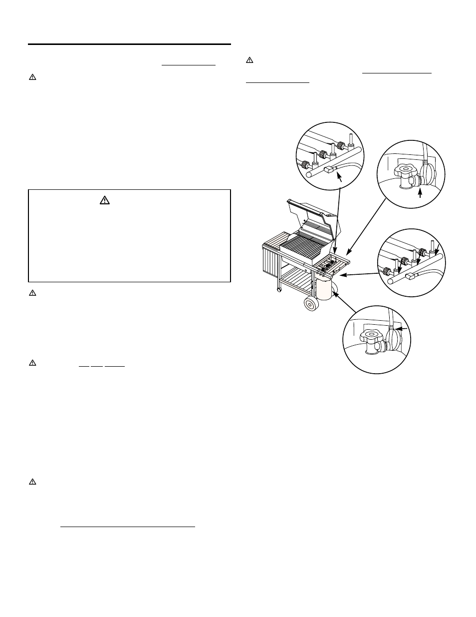 Annual maintenance, Ƽdanger | weber 1100 LP User Manual | Page 31 / 40