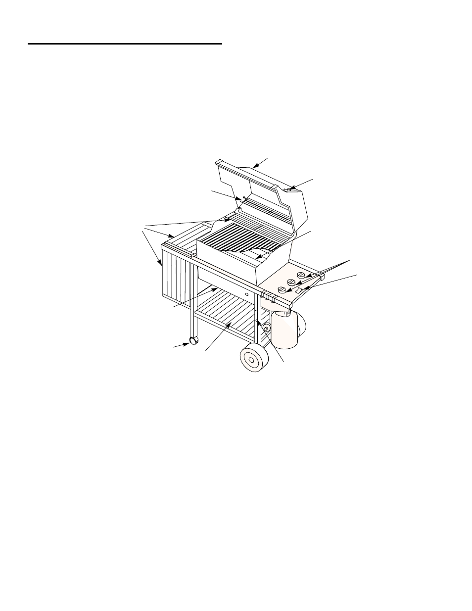 weber 1100 LP User Manual | Page 5 / 40