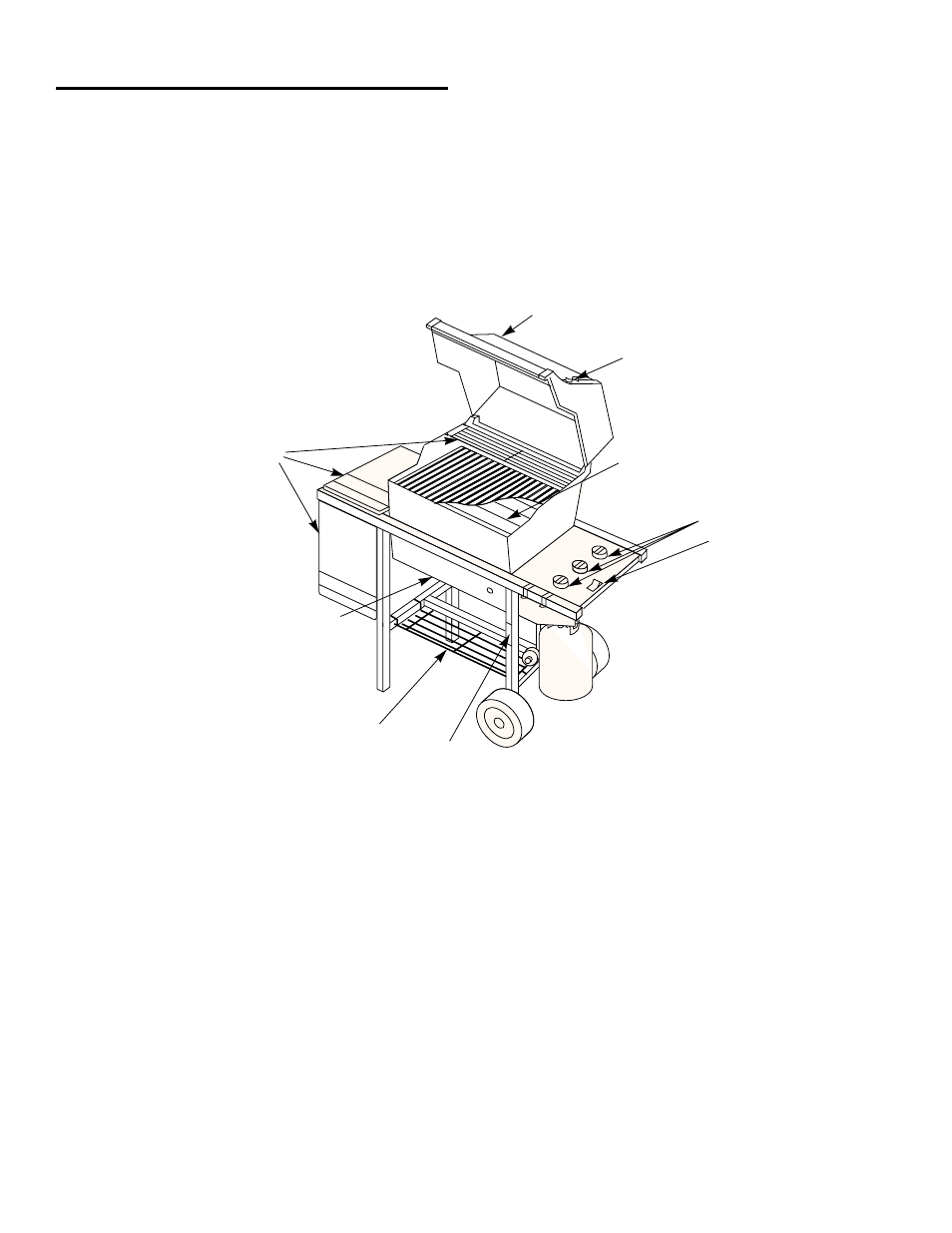 weber 98583 User Manual | Page 5 / 36