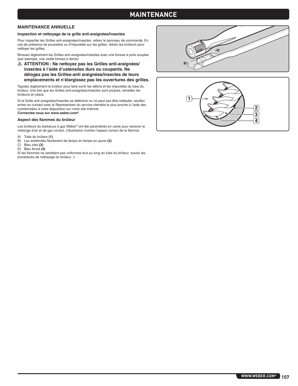 Maintenance | weber Summit E 470 User Manual | Page 107 / 108