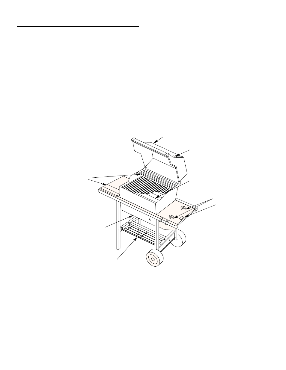 weber SPIRIT 500 LX User Manual | Page 5 / 32