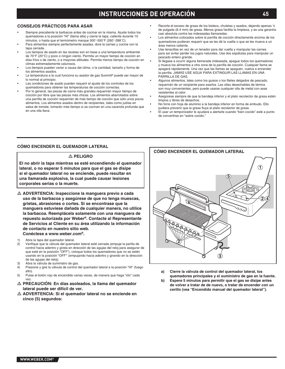 Instrucciones de operación | weber 89374 User Manual | Page 45 / 88