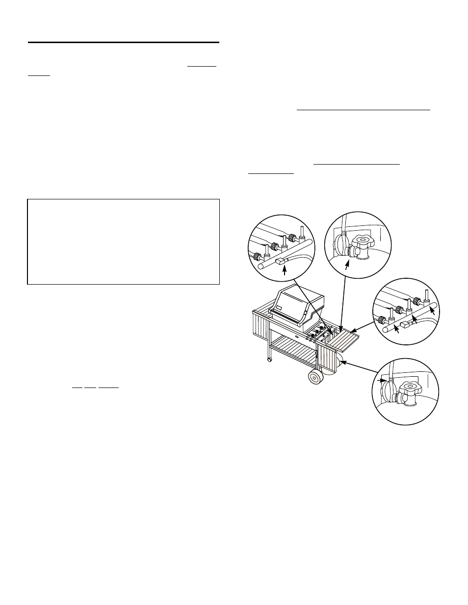 Annual maintenance, Danger | weber LP GAS BARBECUE 3400 User Manual | Page 17 / 20
