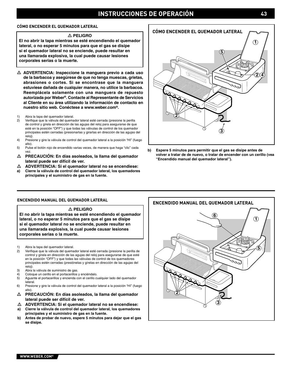 Instrucciones de operación | weber S-620/650 User Manual | Page 43 / 76