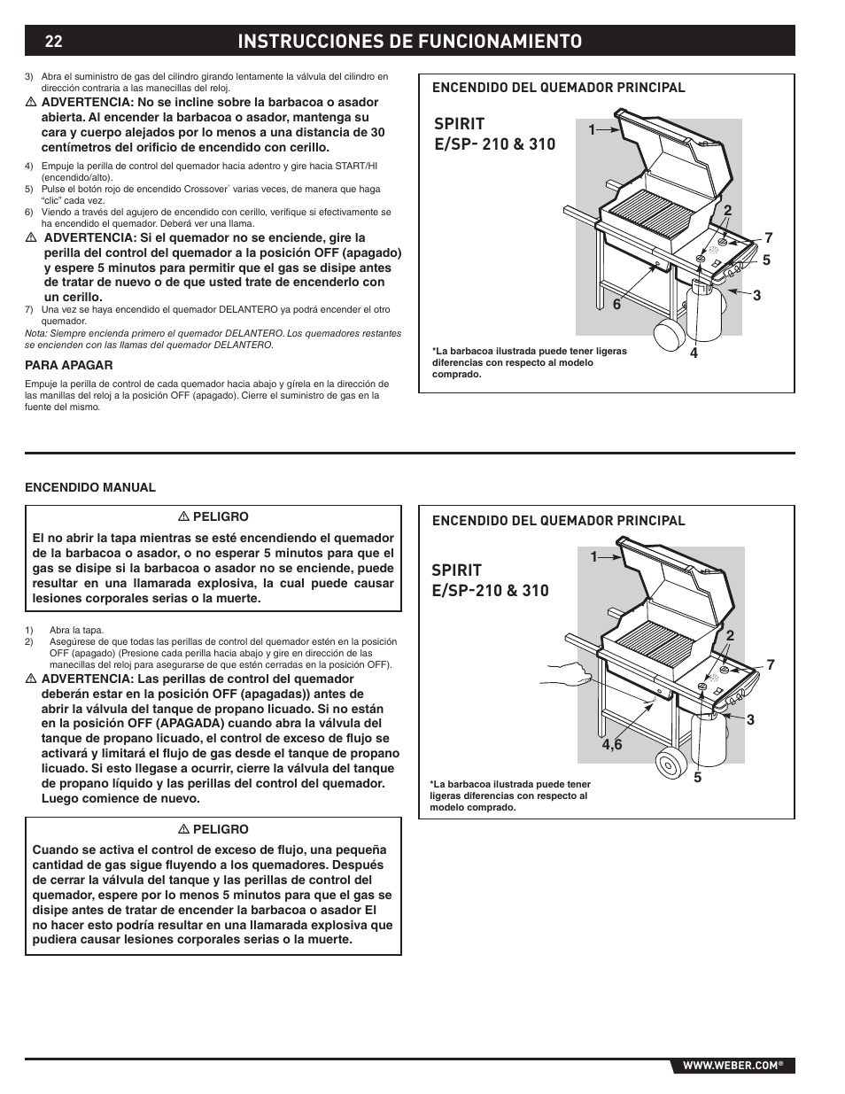 Instrucciones de funcionamiento | weber SP - 310 User Manual | Page 22 / 40
