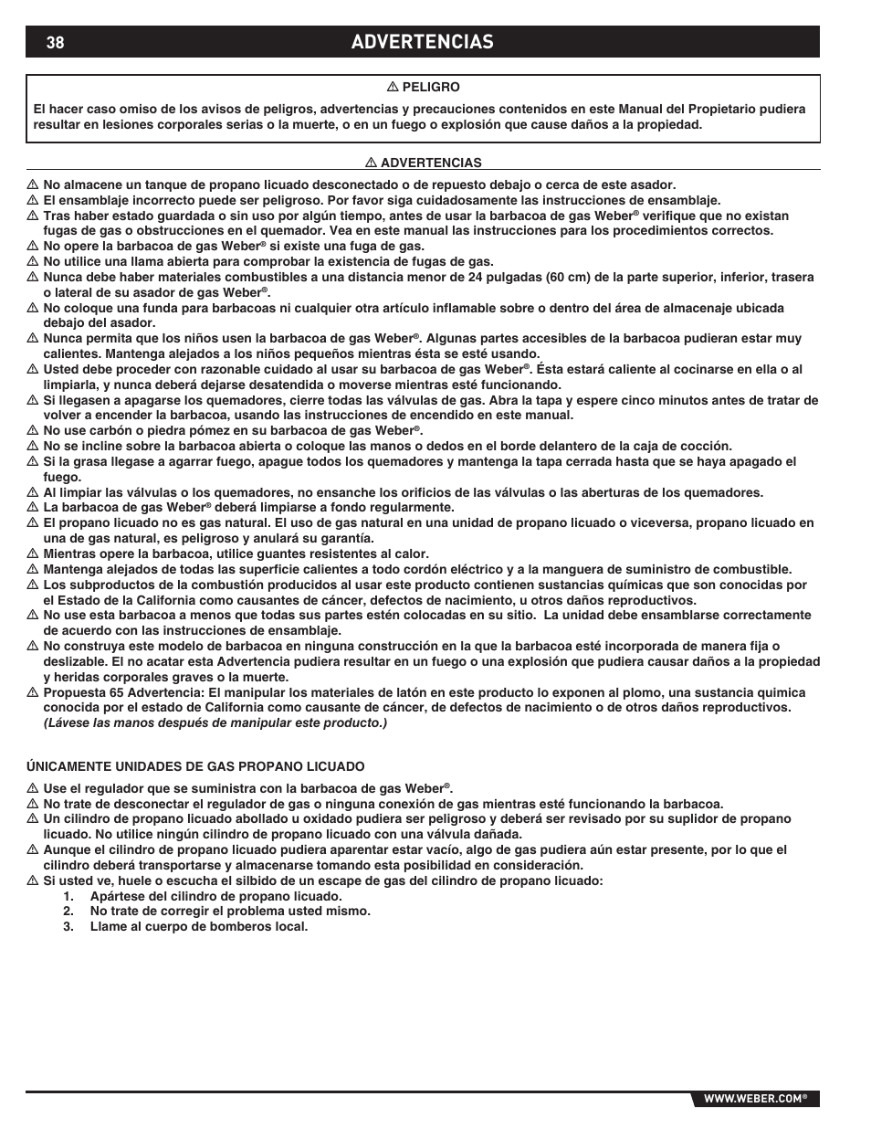 Dangers and warnings, Advertencias | weber 89373 User Manual | Page 38 / 92