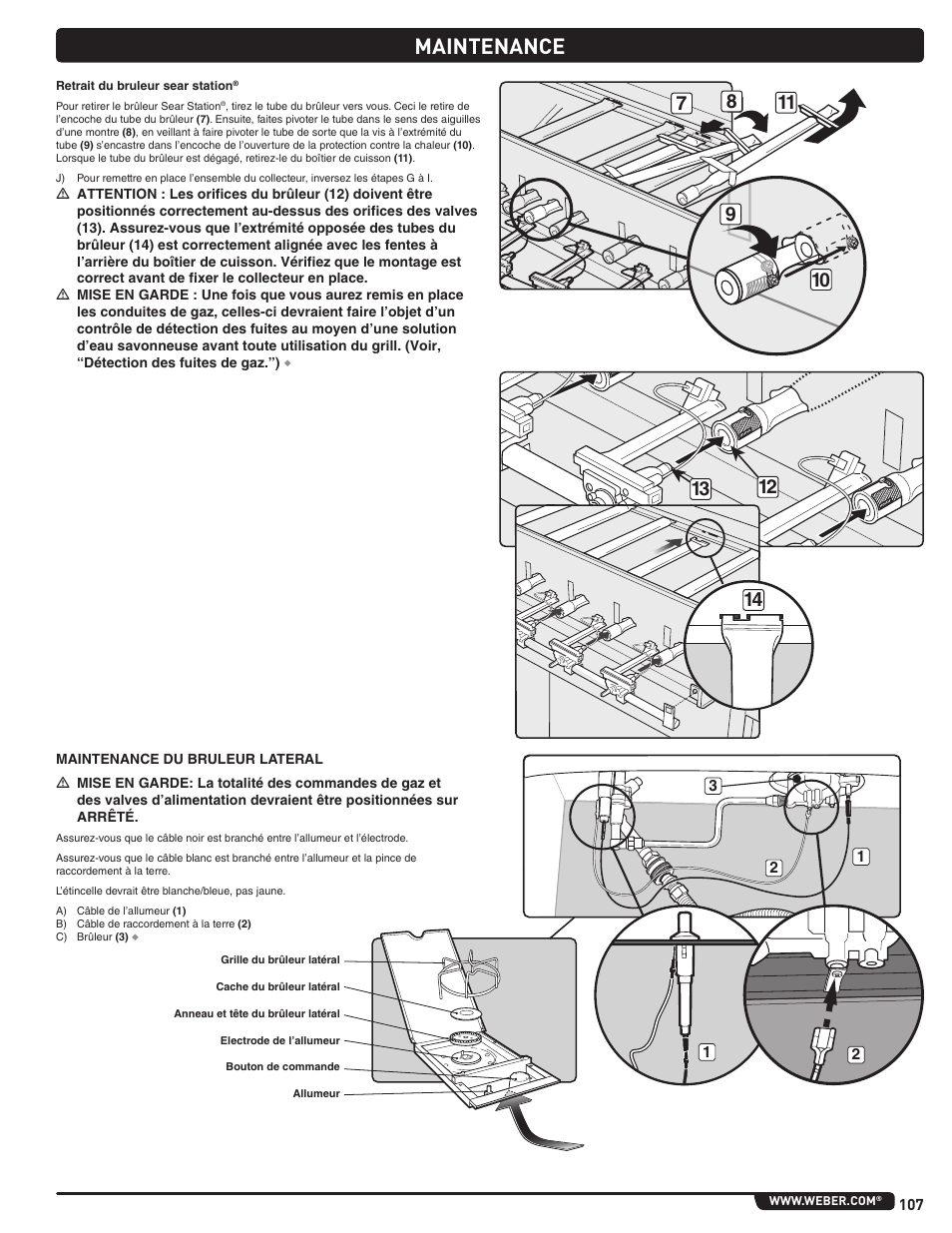 Maintenance | weber Summit E/S 470 LP User Manual | Page 107 / 110