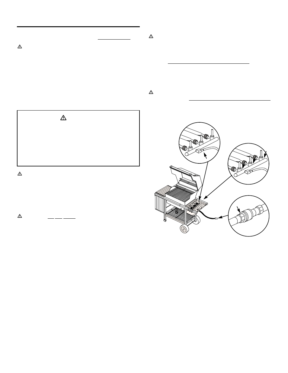 Annual maintenance, Ƽdanger | weber GENESIS 1000 SERIES User Manual | Page 25 / 32