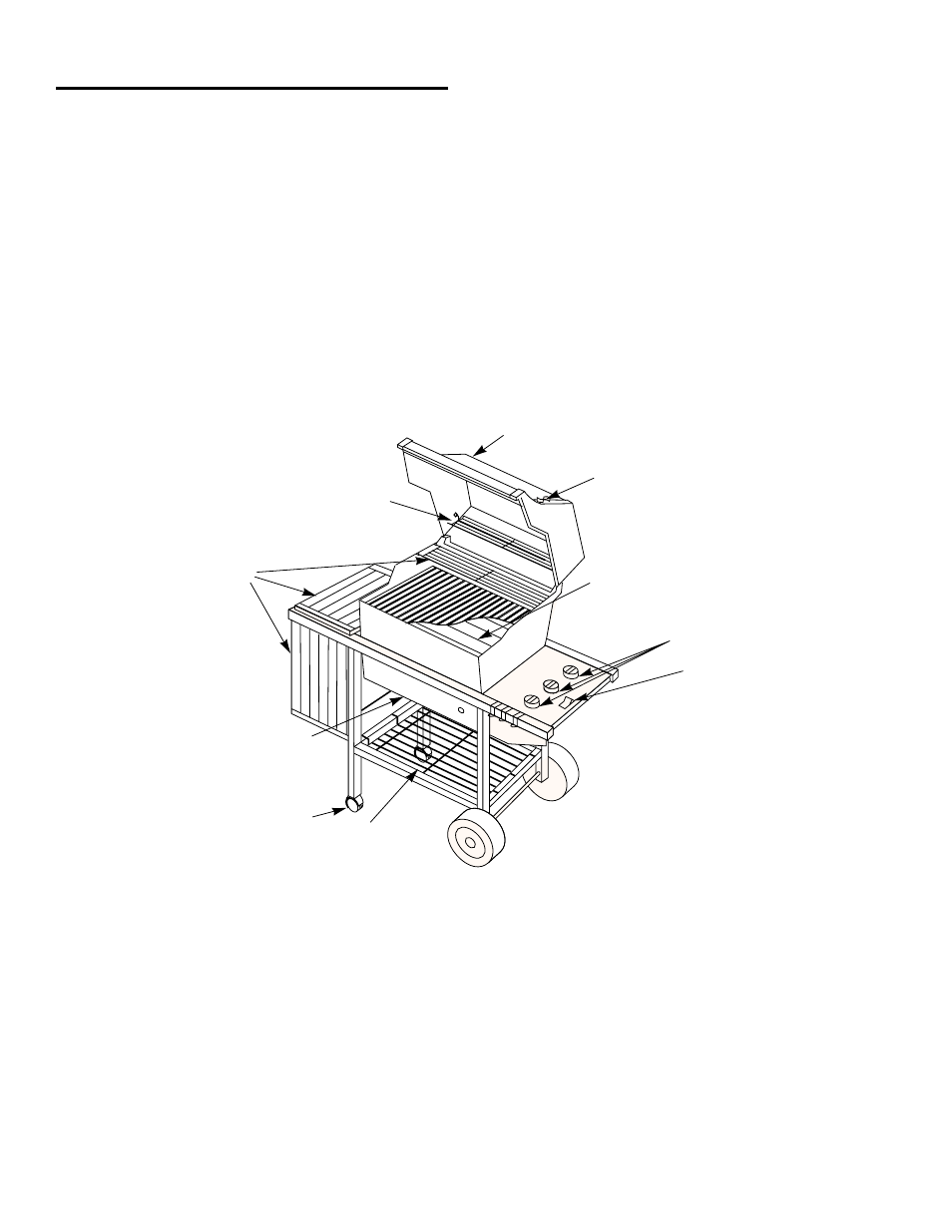 weber GENESIS 1000 SERIES User Manual | Page 5 / 32