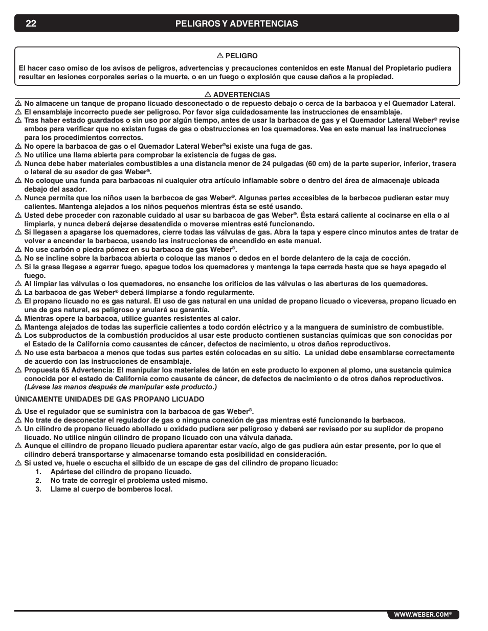 Peligros y advertencias | weber Summit 56069 User Manual | Page 22 / 56