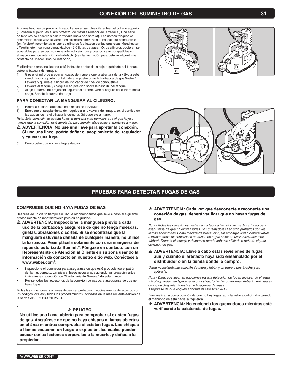 weber Summit 56069 User Manual | Page 31 / 56