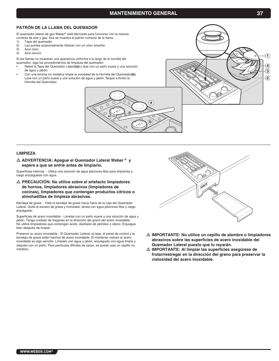 Mantenimiento general | weber Summit 56069 User Manual | Page 37 / 56