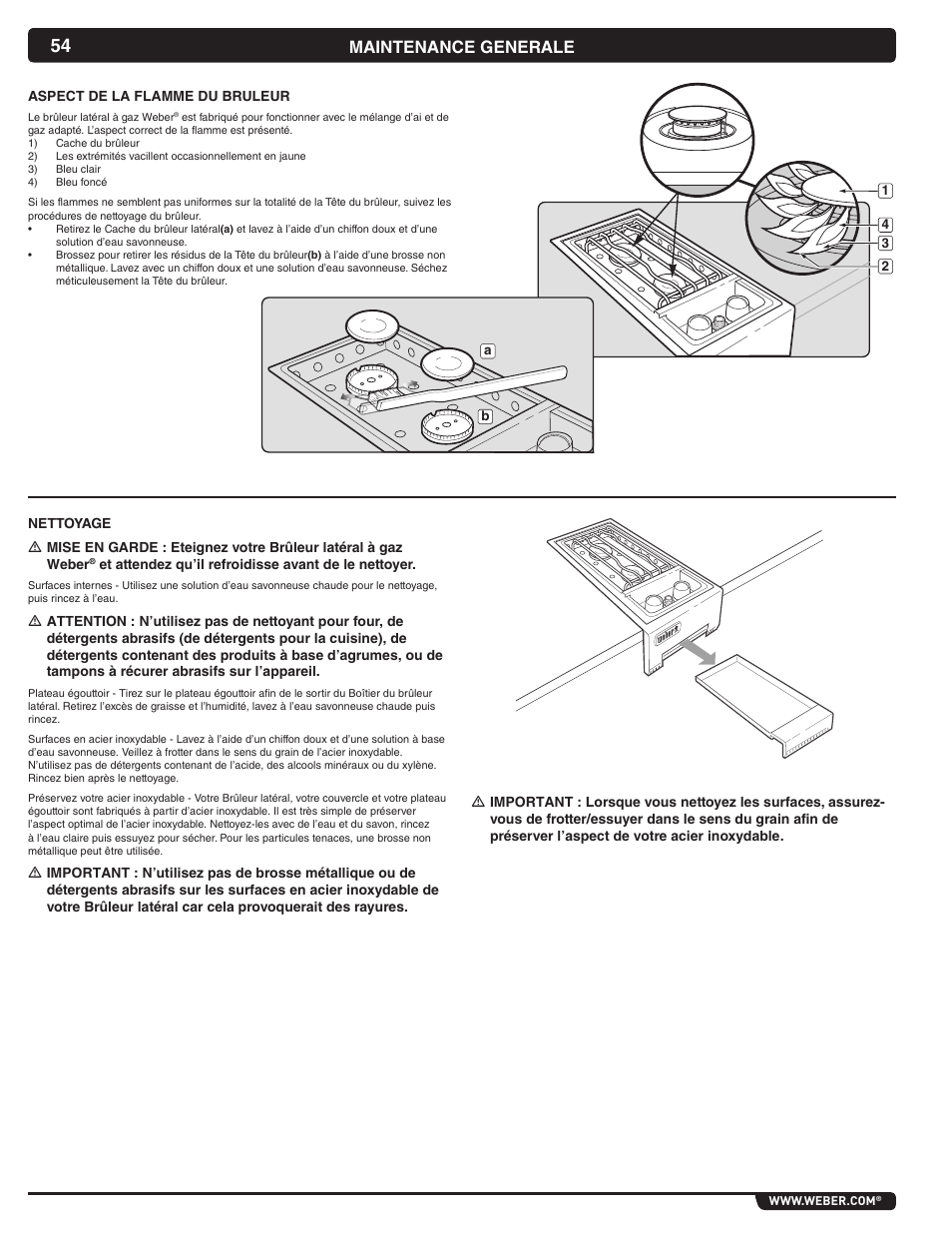 Maintenance generale | weber Summit 56069 User Manual | Page 54 / 56