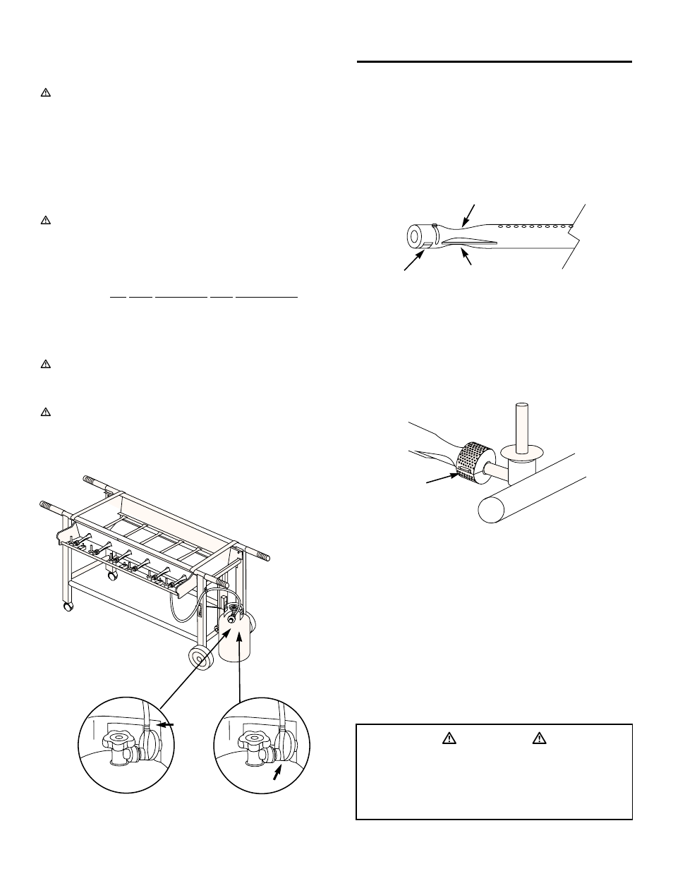 General maintenance, Burner inspection, Ƽdanger ƽ | weber FT 600 User Manual | Page 38 / 48