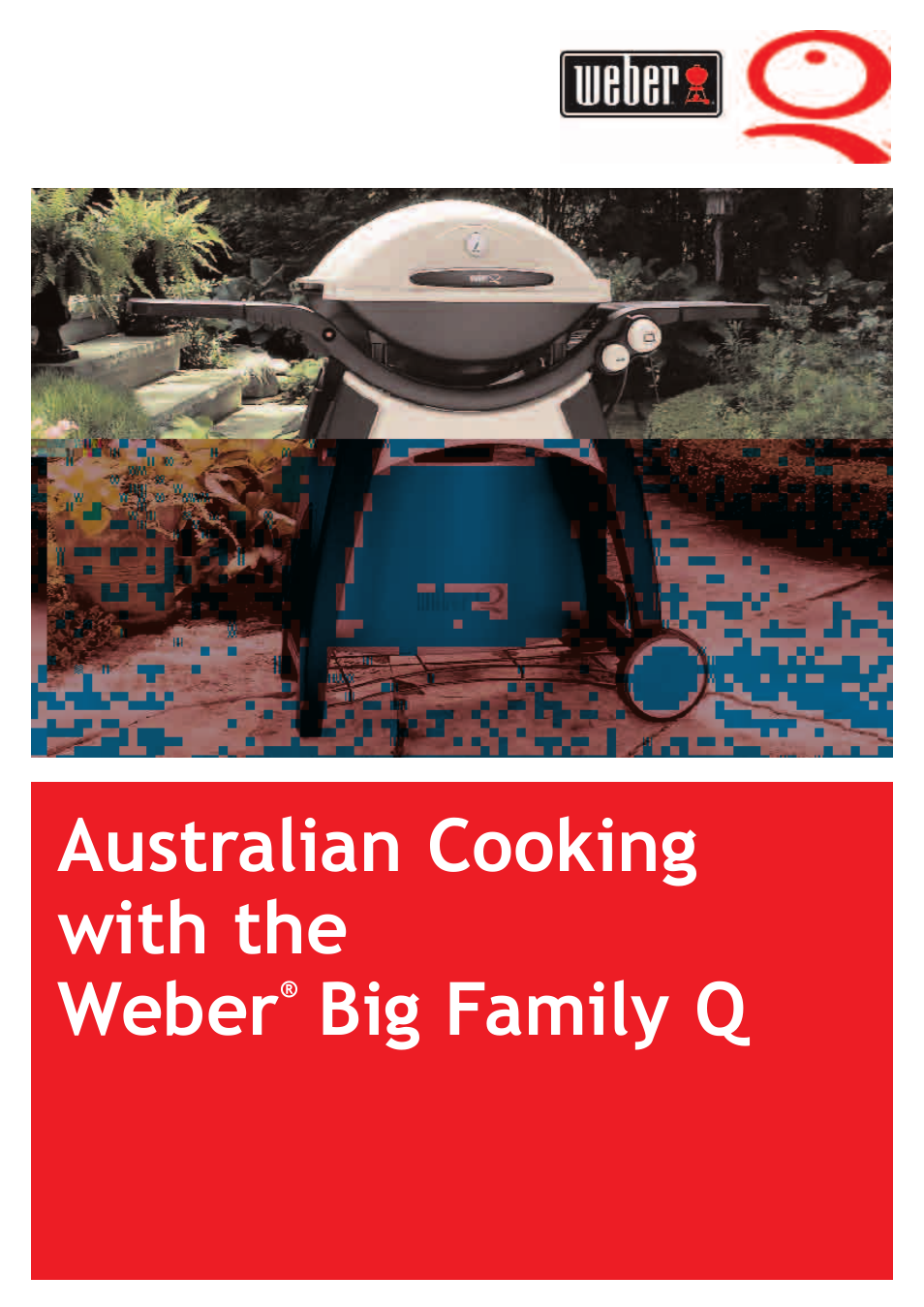 weber Big Family QTM User Manual | 32 pages