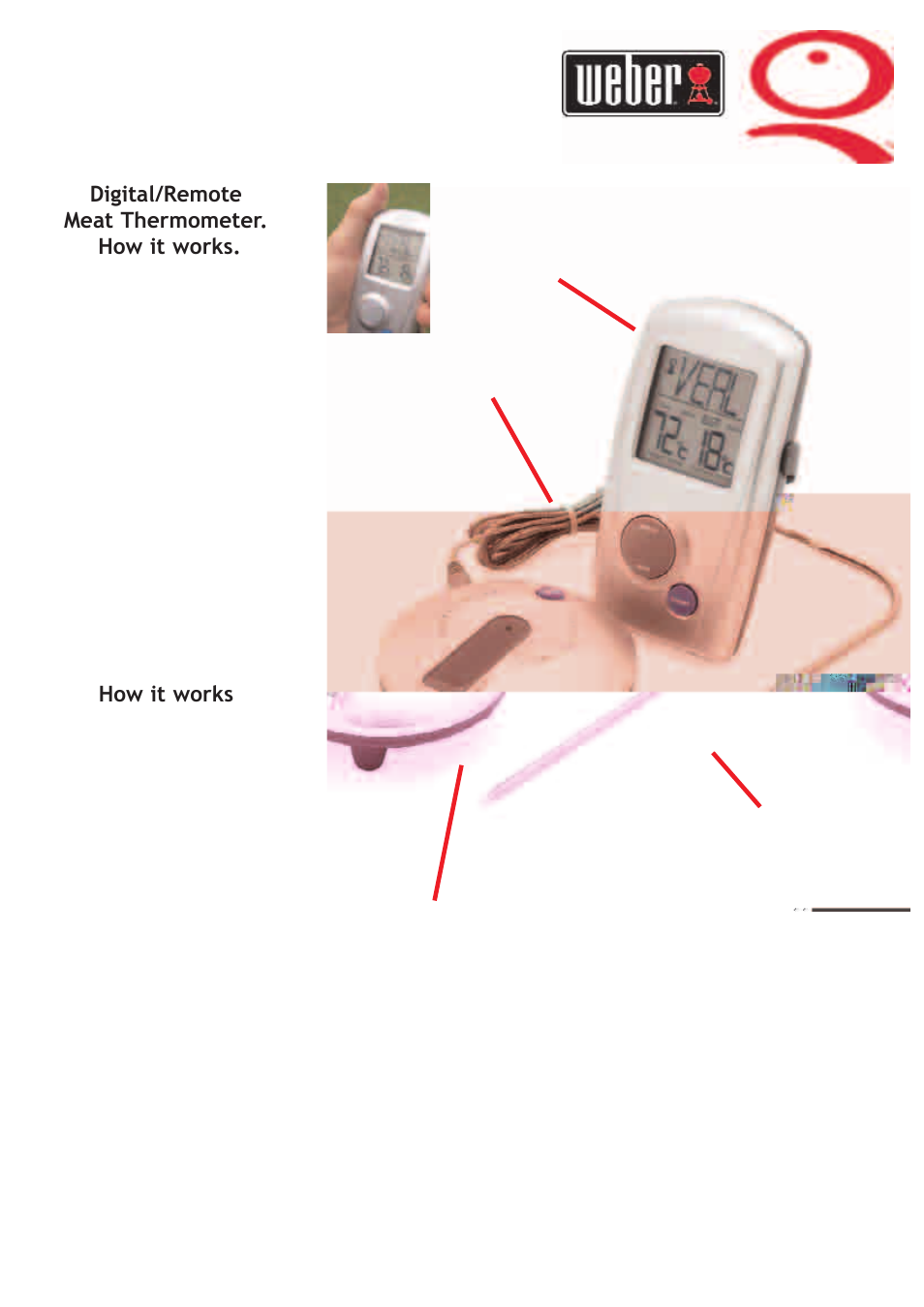 weber Big Family QTM User Manual | Page 31 / 32