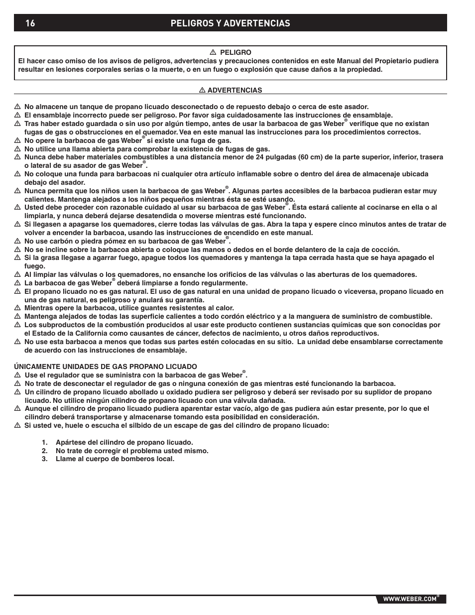 Peligros y advertencias | weber 89796 User Manual | Page 16 / 44