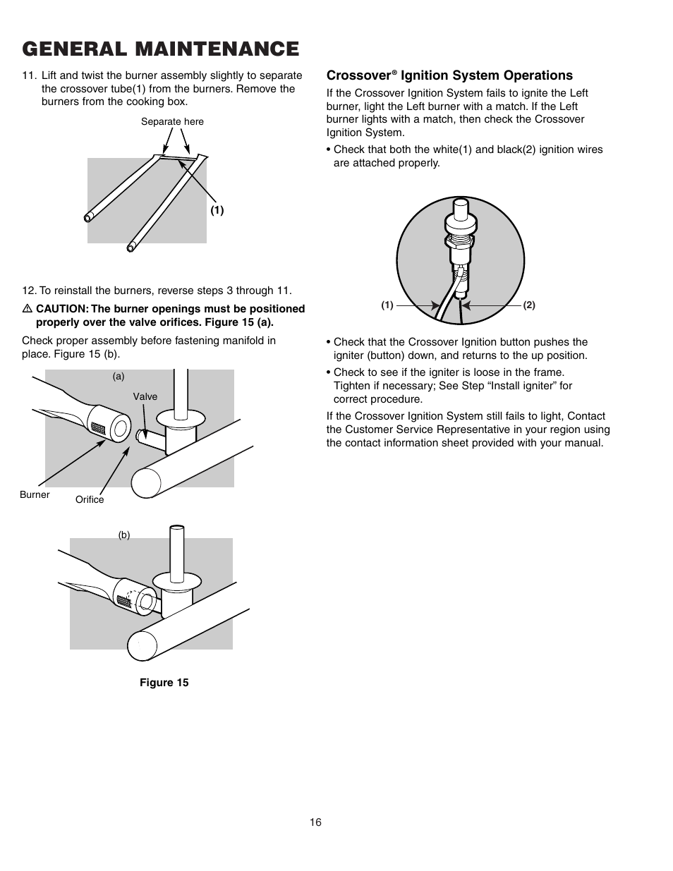 General maintenance | weber SUMMIT 450 User Manual | Page 16 / 18