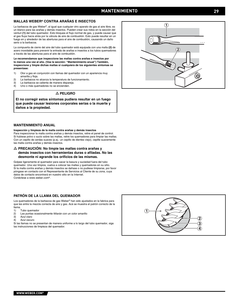 Mantenimiento | weber E/EP - 210/310 User Manual | Page 29 / 48