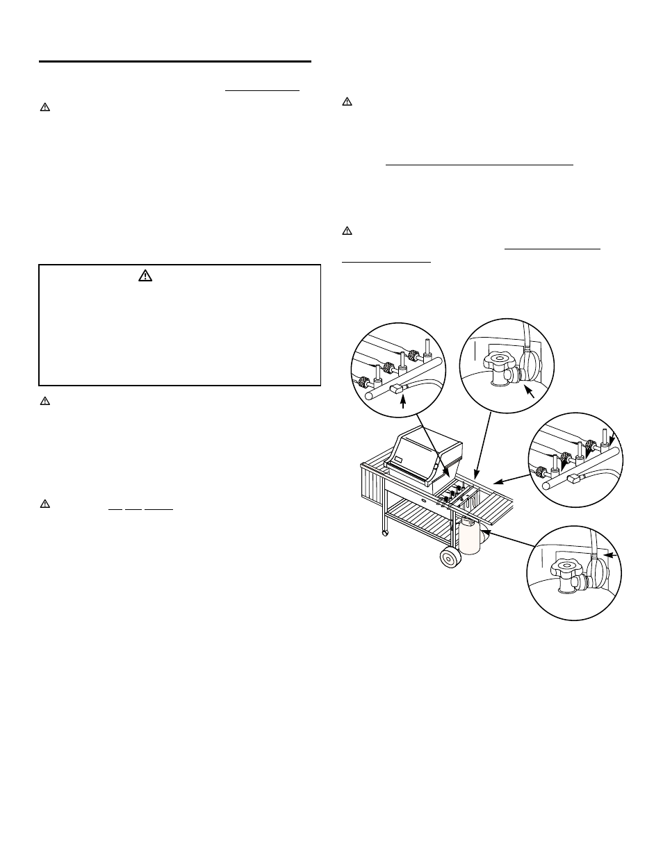 Annual maintenance, Ƽdanger | weber Genesis 2000 Series User Manual | Page 28 / 36