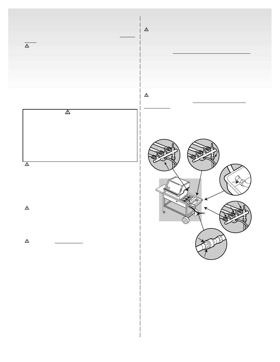 Annual maintenance | weber 55062 User Manual | Page 21 / 26