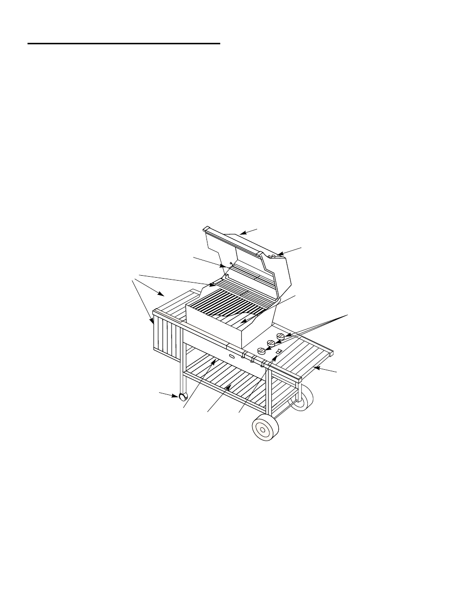 weber 2000 LX Series User Manual | Page 5 / 32