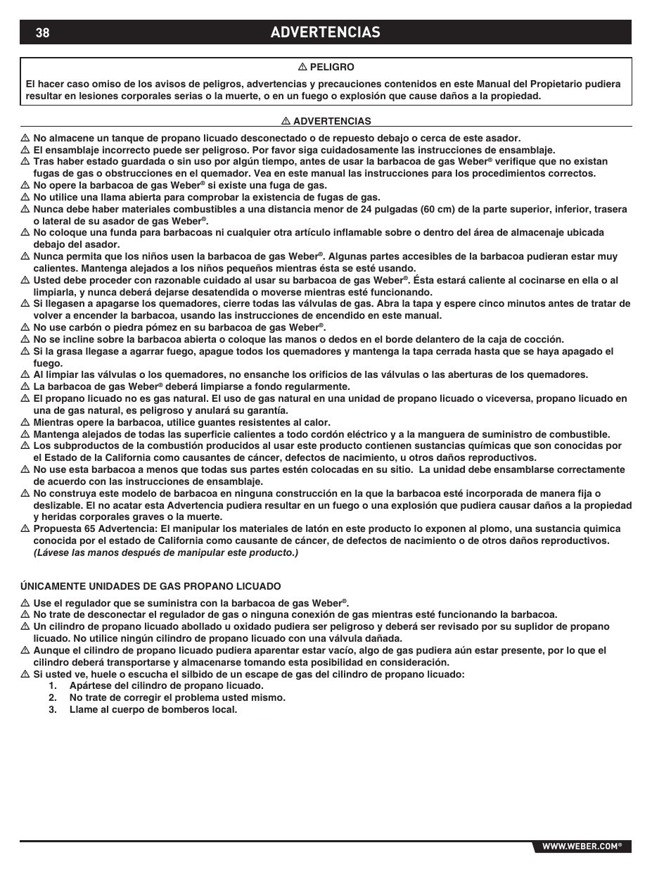 Dangers and warnings, Advertencias | weber 89369 User Manual | Page 38 / 92