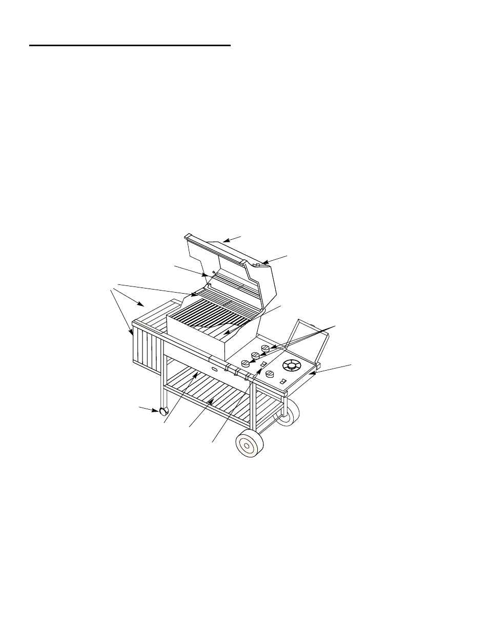 weber 3100 User Manual | Page 5 / 36