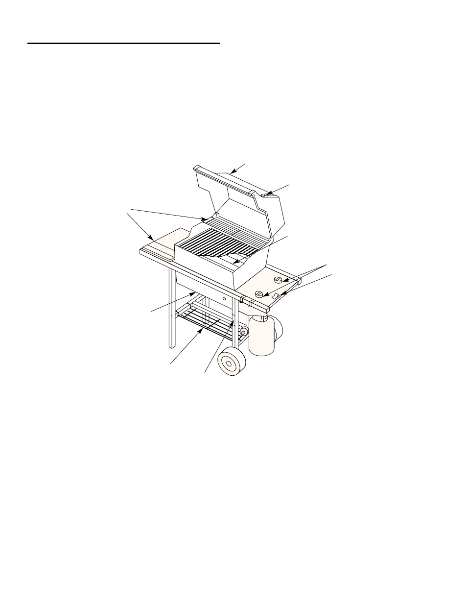 weber Spirit 98567 User Manual | Page 5 / 36