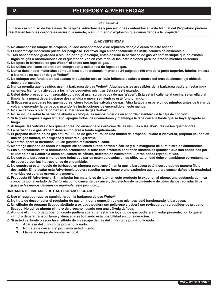 Peligros y advertencias | weber 89838 User Manual | Page 18 / 48
