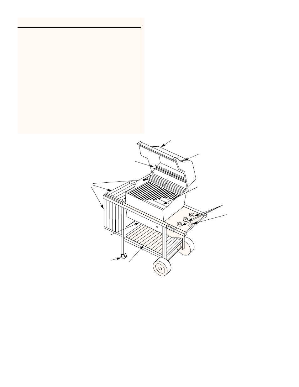 weber GENESIS 1300 User Manual | Page 5 / 32