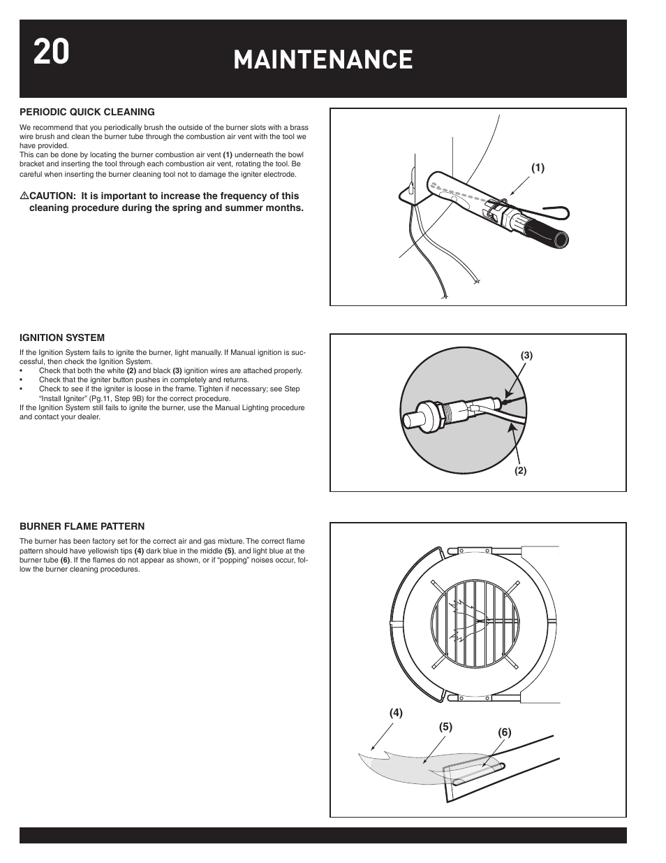 Maintenance | weber Performer 78763 User Manual | Page 20 / 24