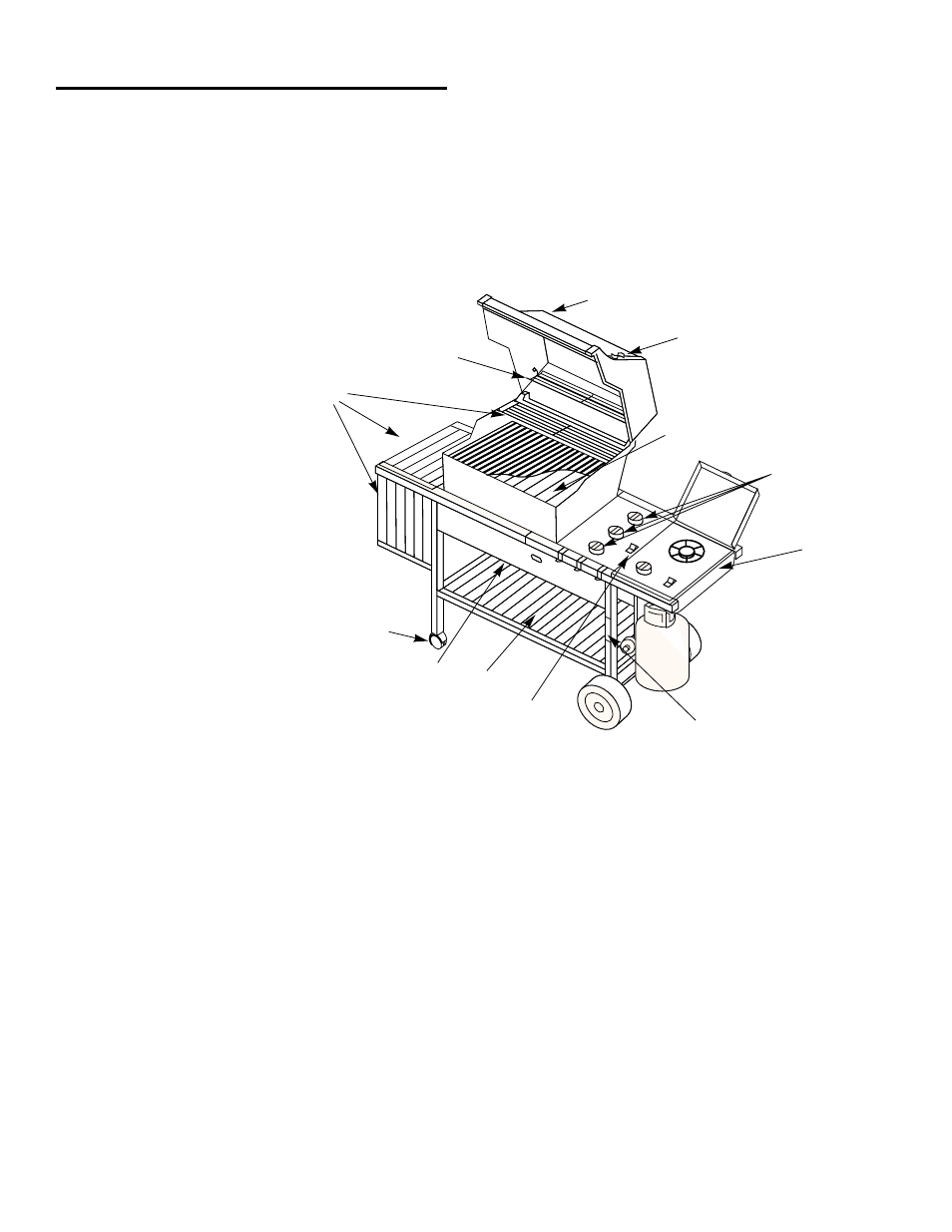 weber 98642 User Manual | Page 5 / 40