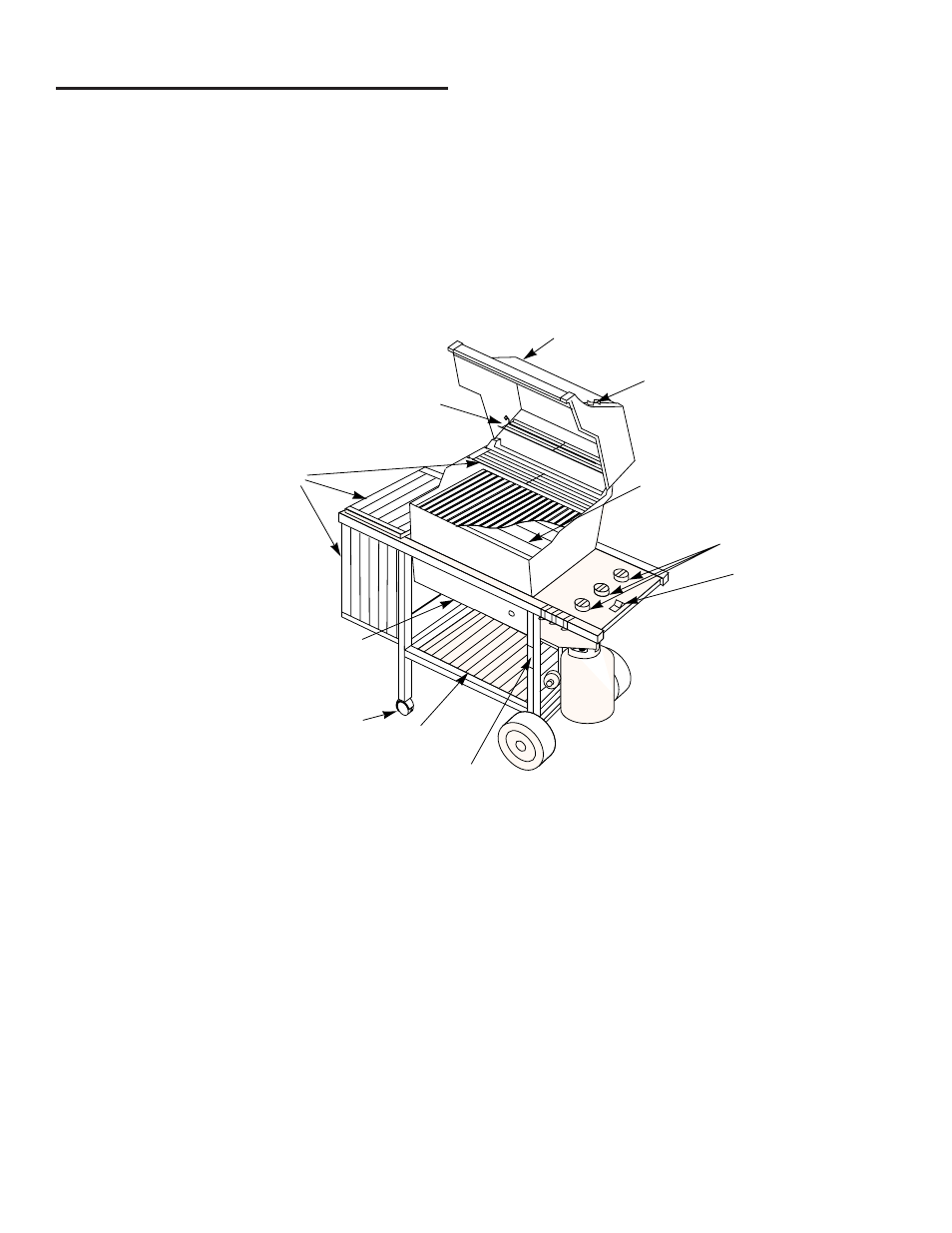 weber 1200 User Manual | Page 5 / 36