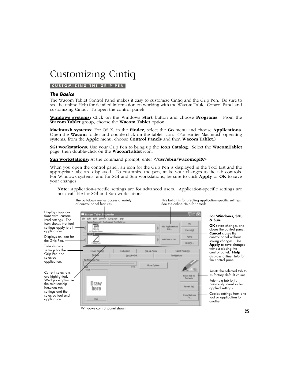 Customizing cintiq, Customizing the grip pen, The basics | Wacom CINTIQ 15X User Manual | Page 27 / 49