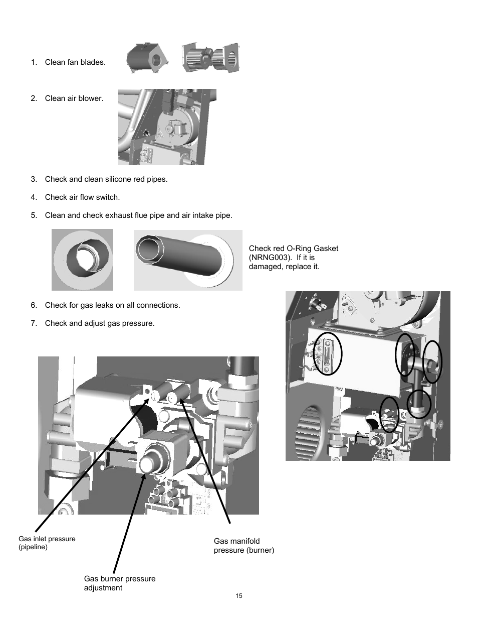 Annual maintenance requirements | Williams 1773511 User Manual | Page 16 / 24