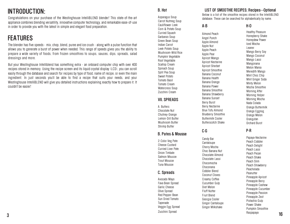 Introduction, Features | Westinghouse WST2019W User Manual | Page 17 / 20