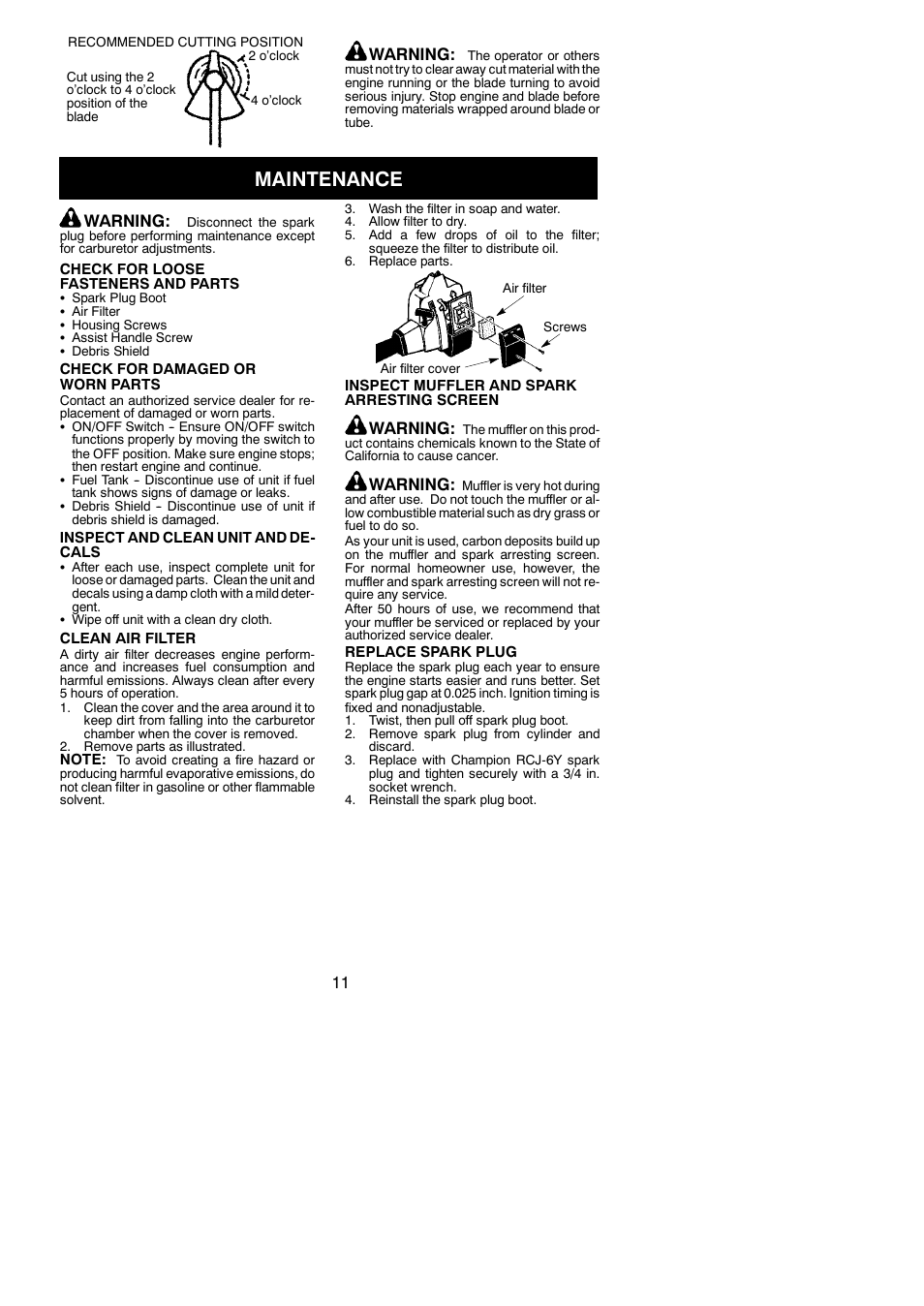 Maintenance, Warning | Weed Eater BC2500 LE User Manual | Page 11 / 15