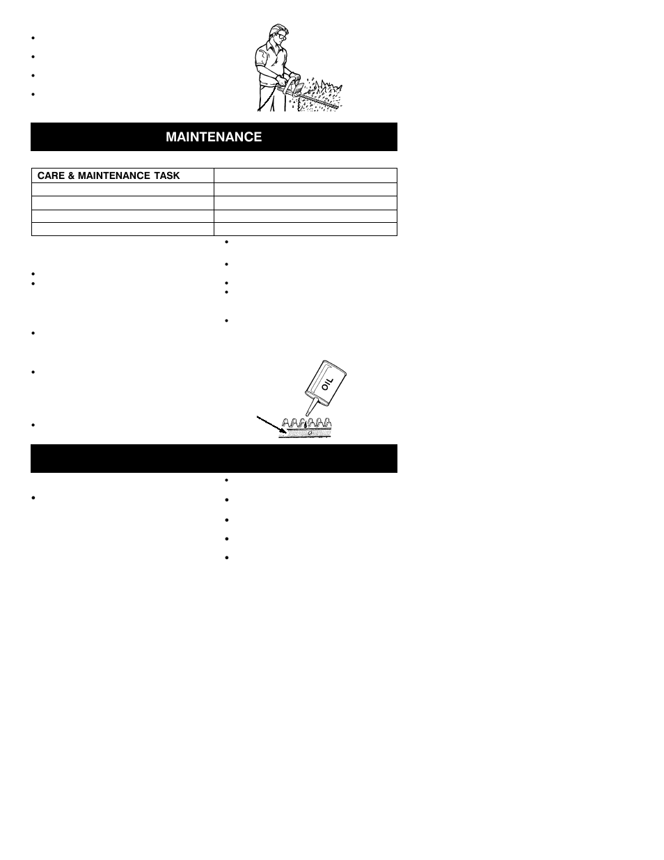 Maintenance, Storage | Weed Eater HT22 User Manual | Page 5 / 6