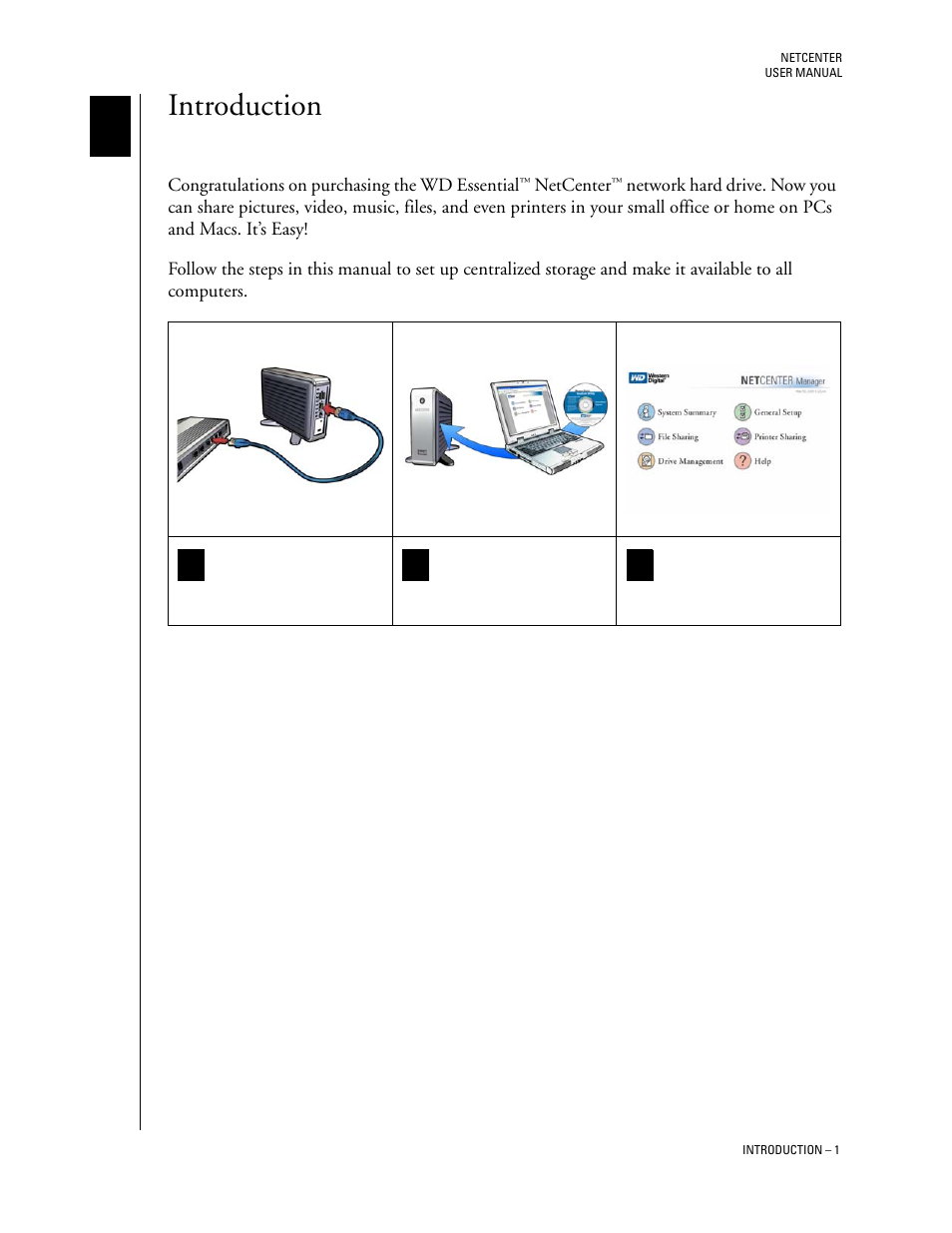 Introduction, Netcenter in your network-the basics, Netcenter in your network—the basics | Western Digital Network hard drive User Manual | Page 5 / 63