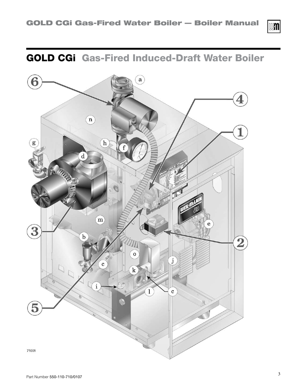 Gold cgi gas-fired induced-draft water boiler | Weil-McLain GOLD CGI 550-110-710/0107 User Manual | Page 3 / 68