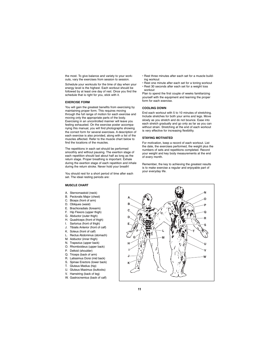 Weider WEBE11880 User Manual | Page 11 / 15
