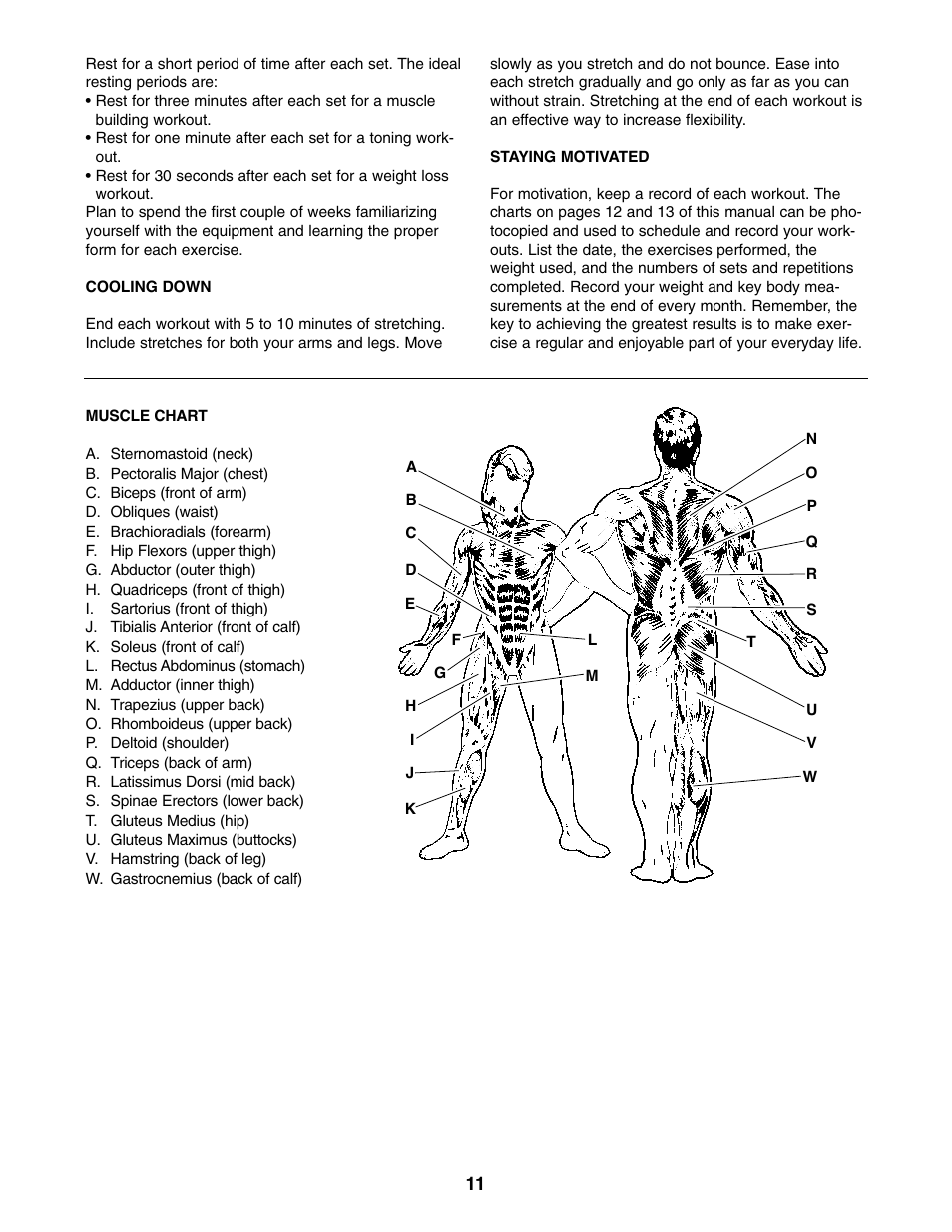 Weider Pro XT 10 User Manual | Page 11 / 16