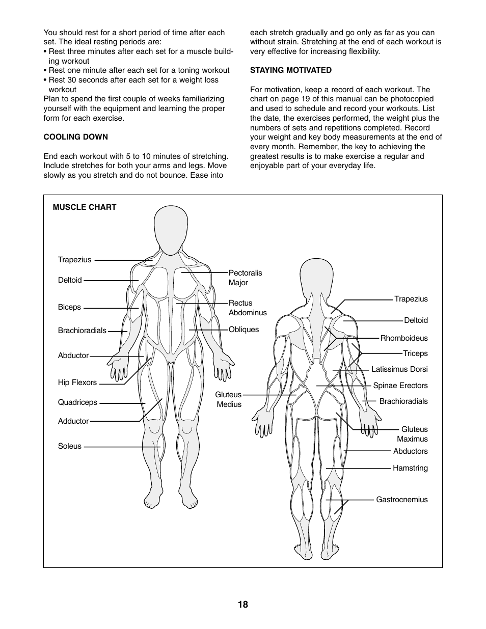 Weider WEBE44490 User Manual | Page 18 / 22