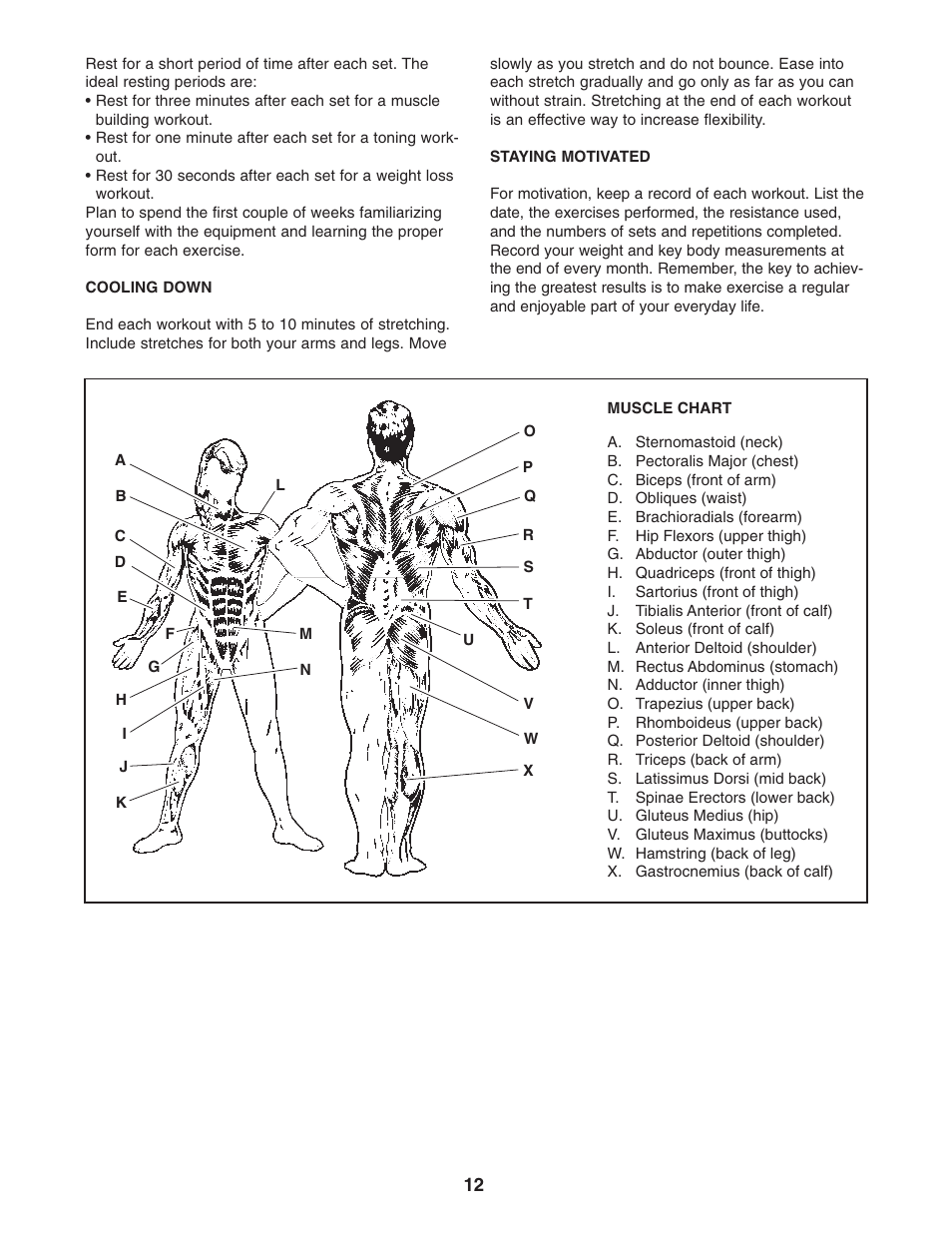 Weider PRO 250 831.15707.0 User Manual | Page 12 / 16