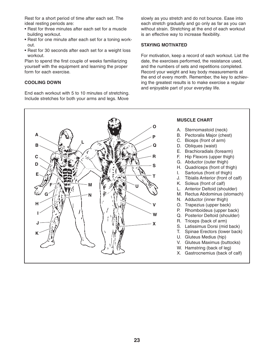 Weider 831.153971 User Manual | Page 23 / 28