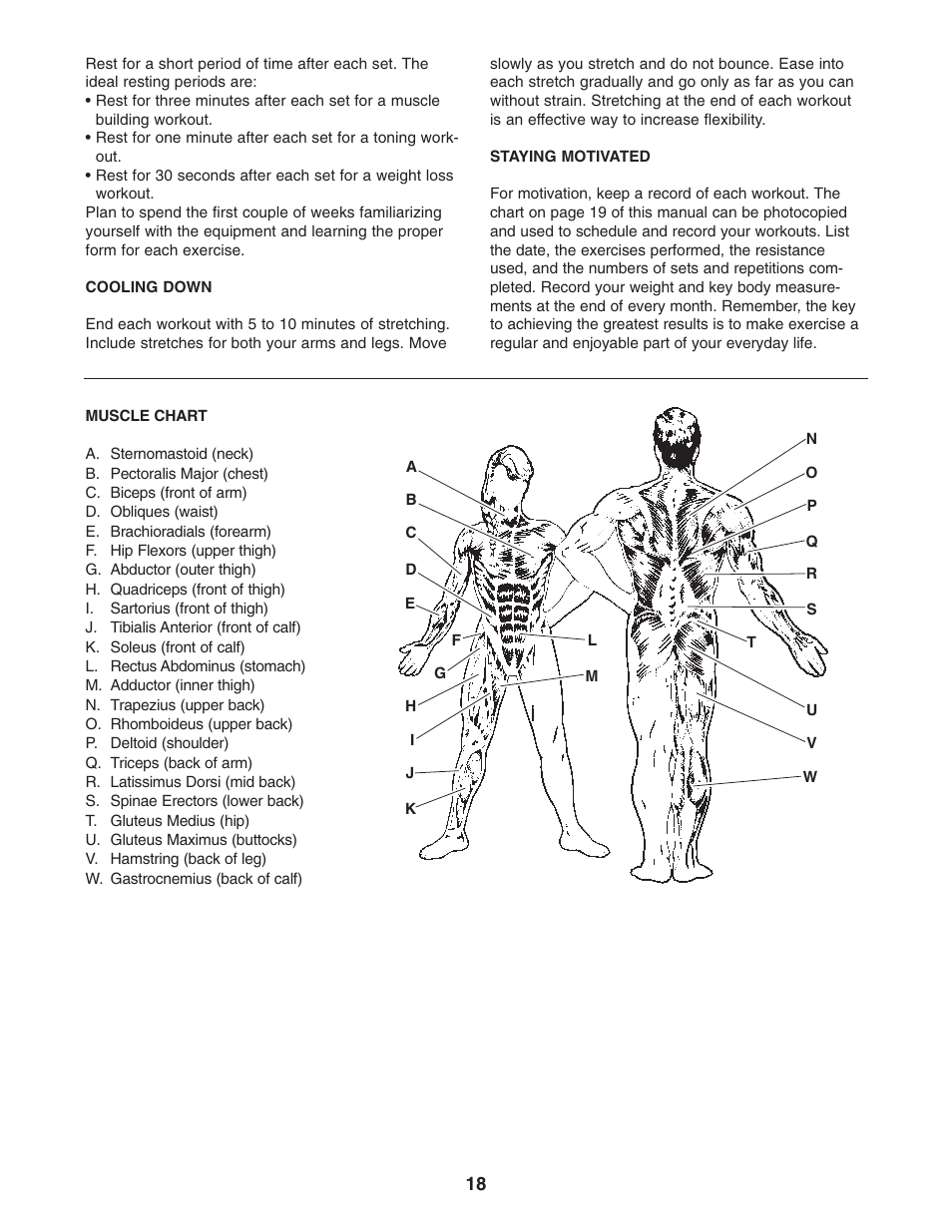 Weider 2000X WESY7773.1 User Manual | Page 18 / 24