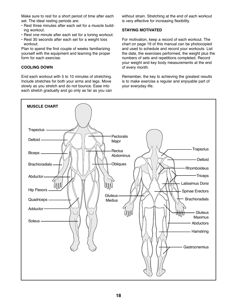Weider WEBE34100 User Manual | Page 18 / 23
