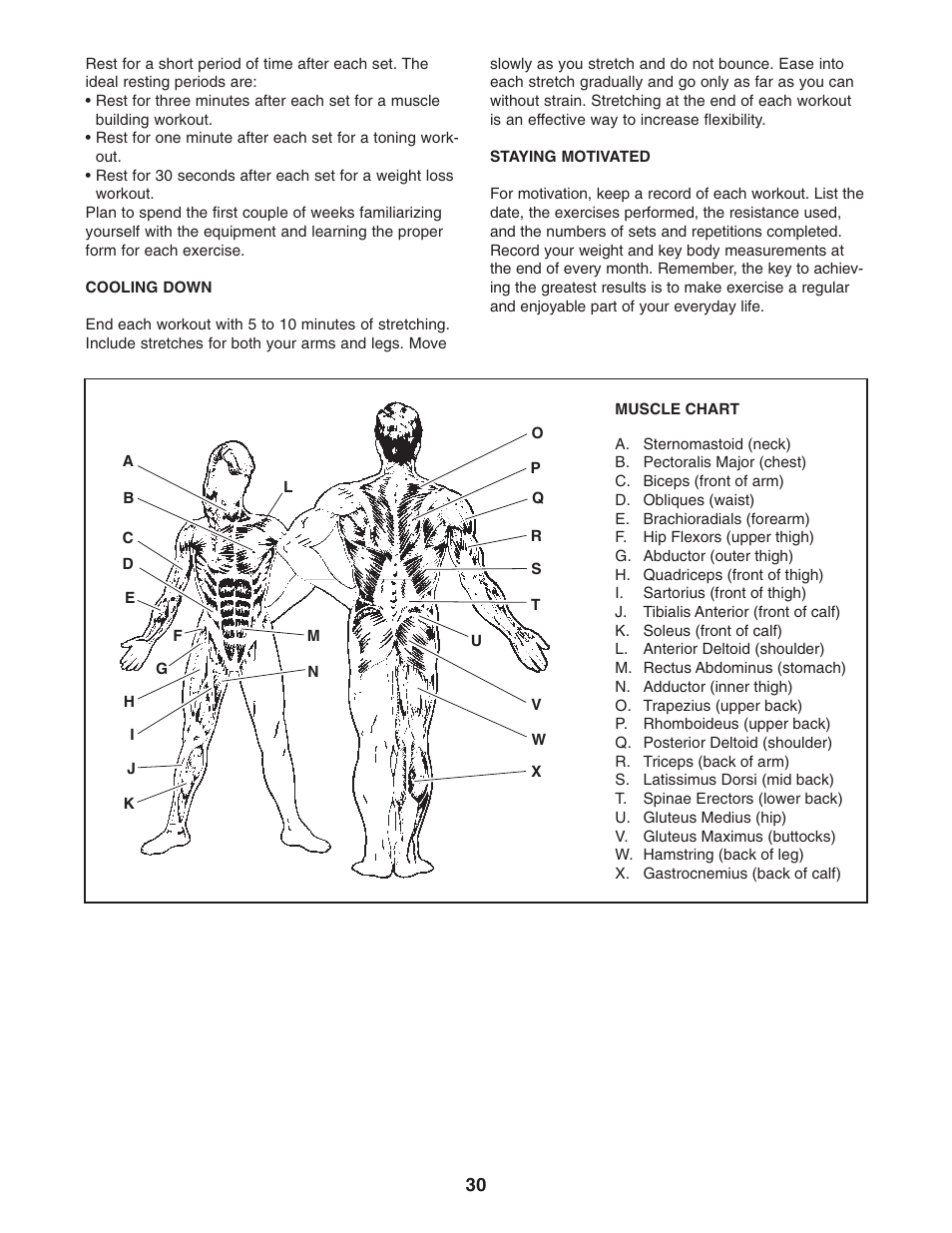 Weider club 4870 WESY3906.0 User Manual | Page 30 / 36